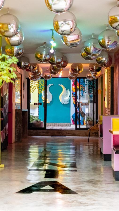 Hotel Suculenta Boutique San Cristóbal de Las Casas Εξωτερικό φωτογραφία